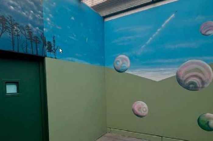 Inside new police custody suite with a 'calming' mural to help neurodiverse people