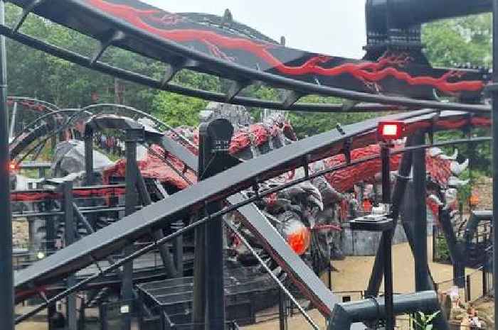 Mum and son 'attacked by two men at Alton Towers while in Nemesis queue'