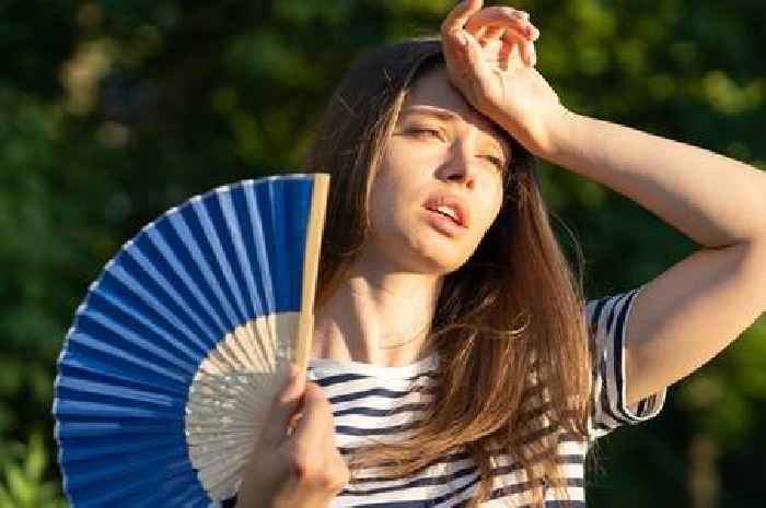 Met Office heatwave countdown as 35C temperatures just days away