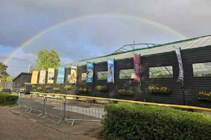 Colchester Zoo orangutan habitat reopens after being destroyed by huge storm