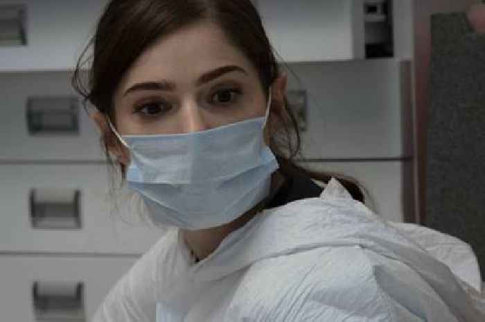 Netflix fans urged to watch 'best' show as it lands in UK