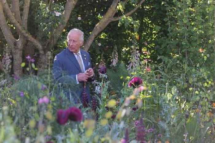 Gardeners reminded of 'final chance' to sow King Charles' favourite flower