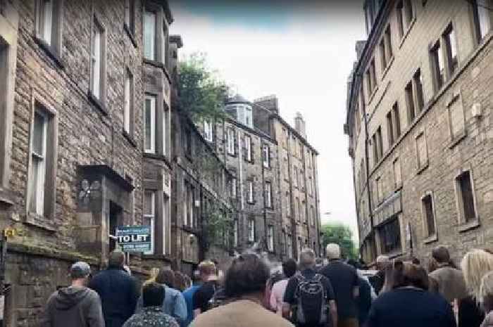 Council confirm talks to tackle trees growing in city gutters in sprucing up bid