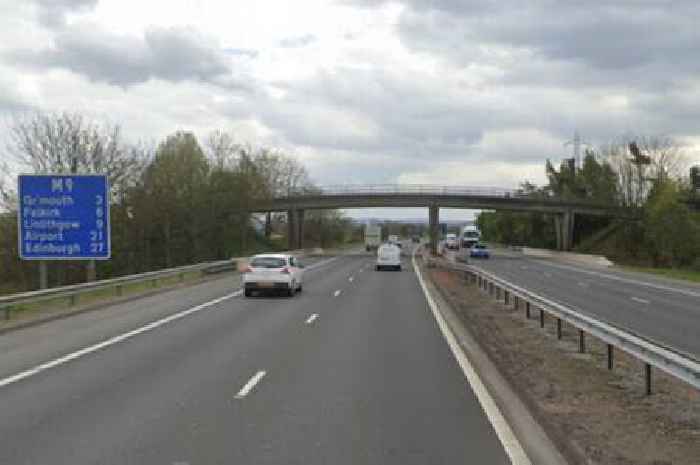 Man dies in early morning M9 horror crash as cops call for witnesses