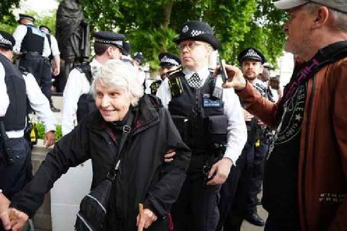 83-year-old Welsh reverend arrested at protest in London