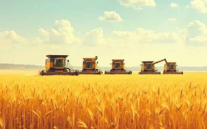 Russian wheat exports poised to rise on bumper harvest, price edge