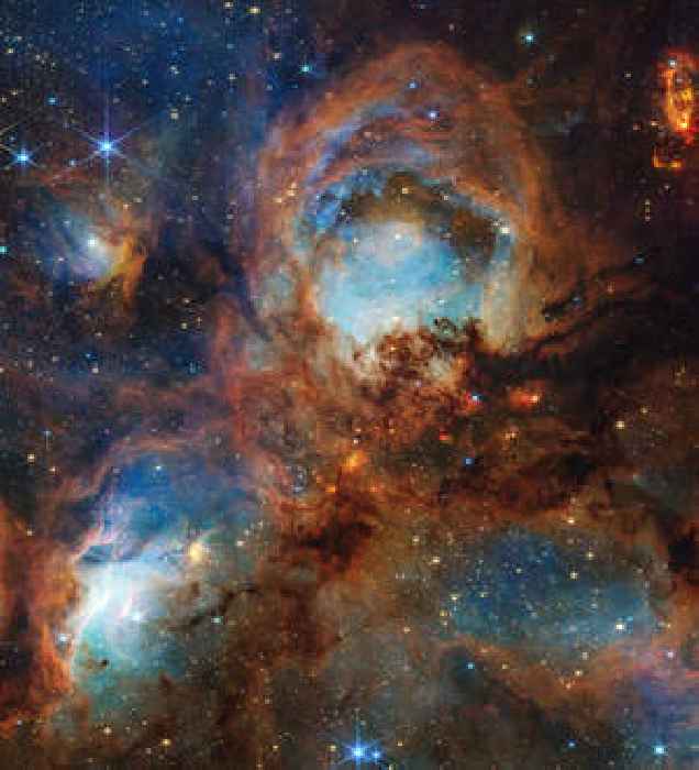 Webb scratches under Cat’s Paw Nebula for third anniversary