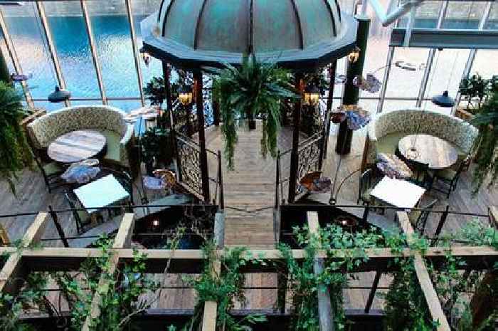 Council 'looking forward' to seeing Iron Lilies replacement after venue closes suddenly
