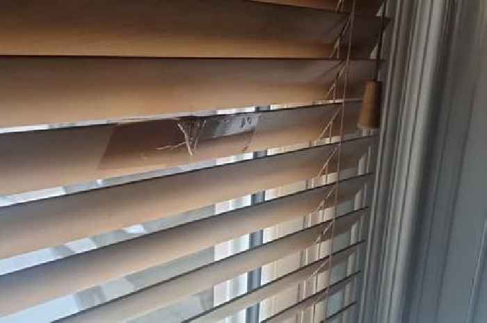 Any UK household with blinds issued warning ahead of heatwave