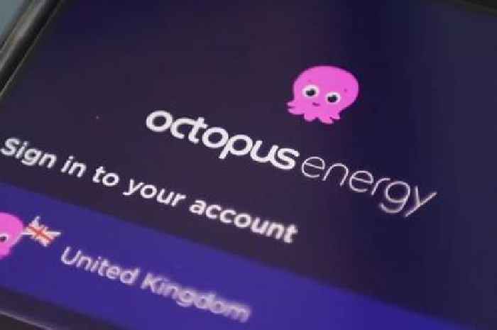 Octopus Energy issues update to millions of customers who don't have driveways