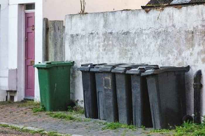 Bin schedule in Chelmsford changed due to hot weather