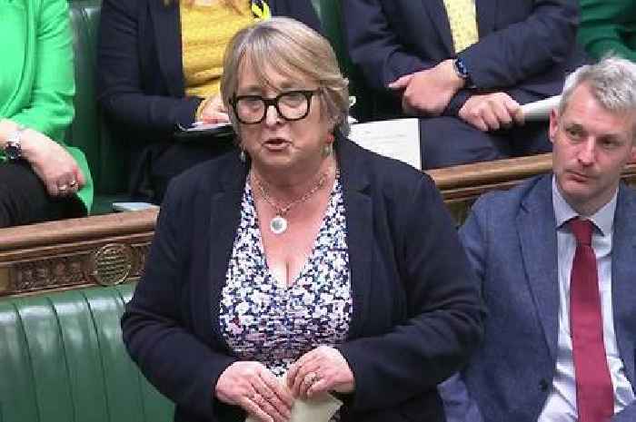 Scots Lib Dem MP sacked from Westminster frontbench job rebelled in memory of late husband