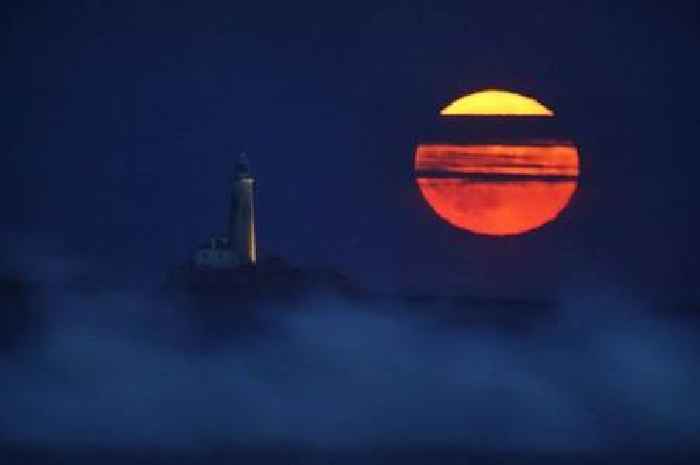 July's full Buck Moon is visible in the sky tonight and this is the best time to see it