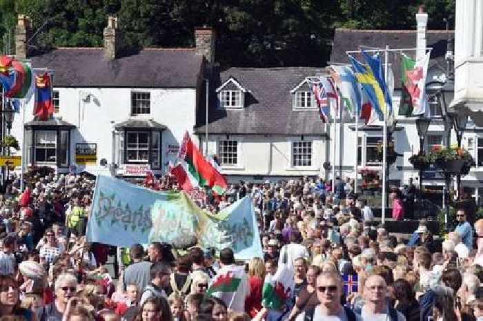Multiple children taken to hospital after falling ill during 'extraordinary medical incident' at music festival