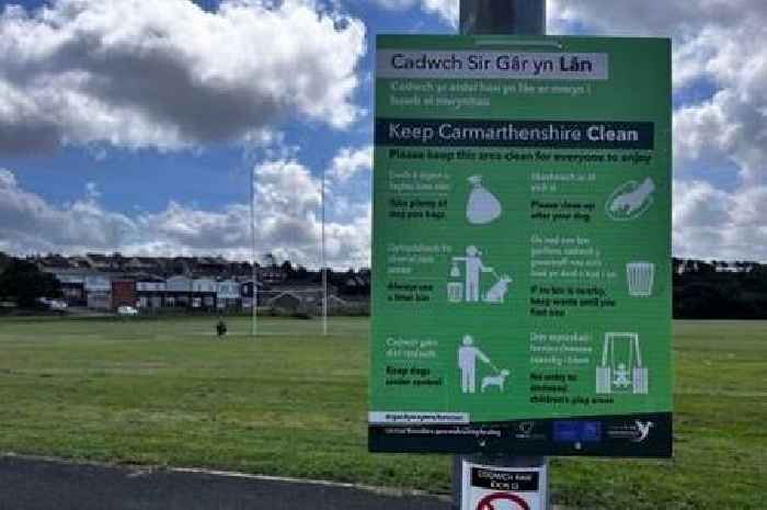 Sports pitches in Carmarthenshire are being ruined by dog poo which is not being picked up