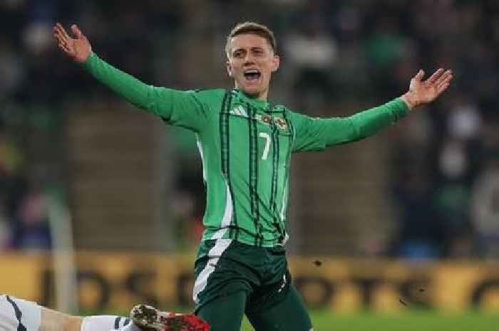 Swansea City may have just signed the next Roy Keane as exciting summer continues