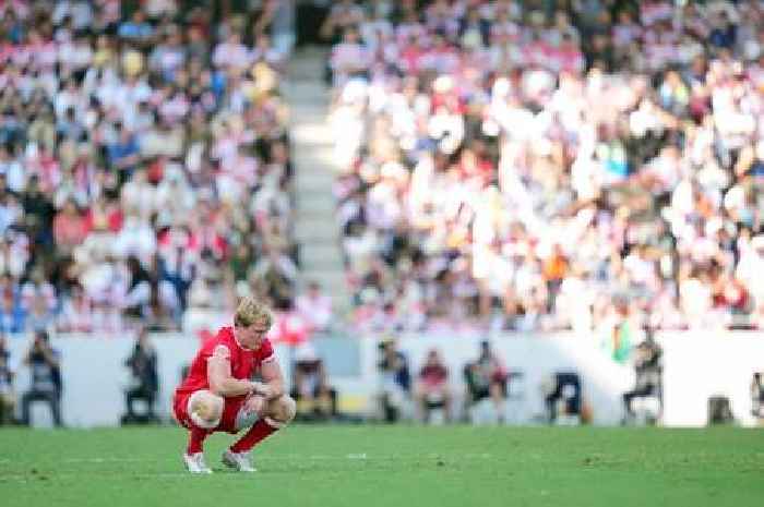 Wales' remarkable success story this season still has one more chapter to write