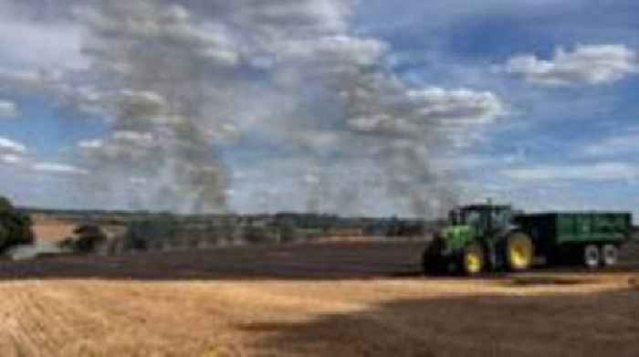 Crops scorched in large field fire next to M1