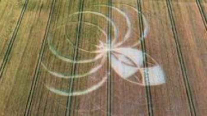 Farmers facing losses over crop circle damage