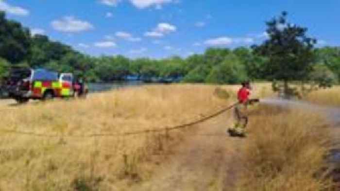 Fire crews tackle grass blaze on Wanstead Flats