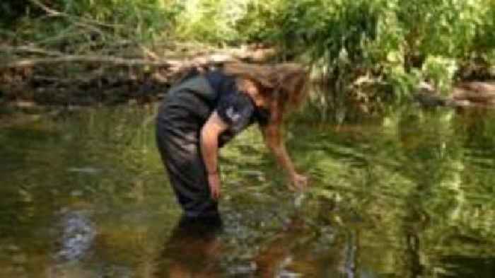 Pollution 'through the roof' in heated rivers
