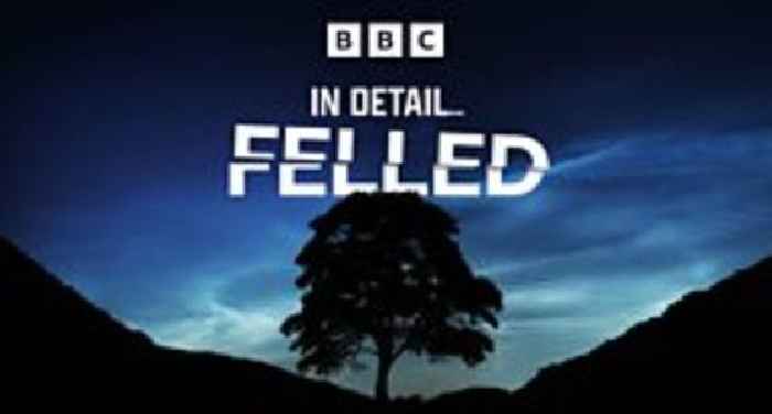 Felled: The Sycamore Gap Story