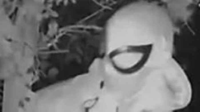 Spiderman stalker given suspended sentence
