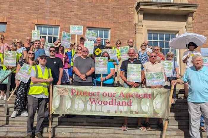 Derby's 'magical' ancient woodland saved as Oakwood expansion refused