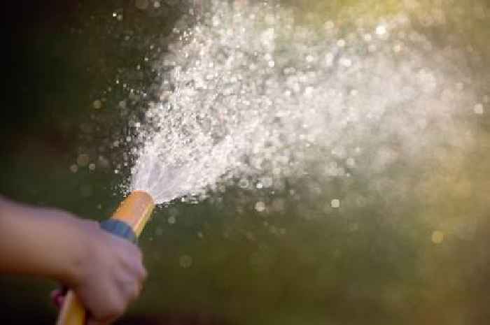 Yorkshire Water hosepipe ban now in force: What you can and can't do
