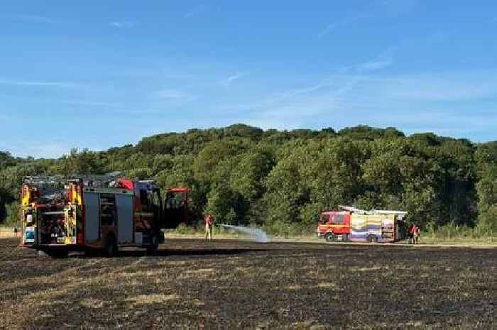 Arsonists set fire to Bristol riding school