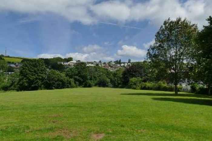 Dawlish rallies to preserve seaside beauty spot