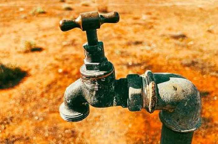 Brits urged to prepare for summer water shortages