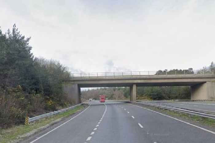 Live: Fallen tree shuts major Devon A-road