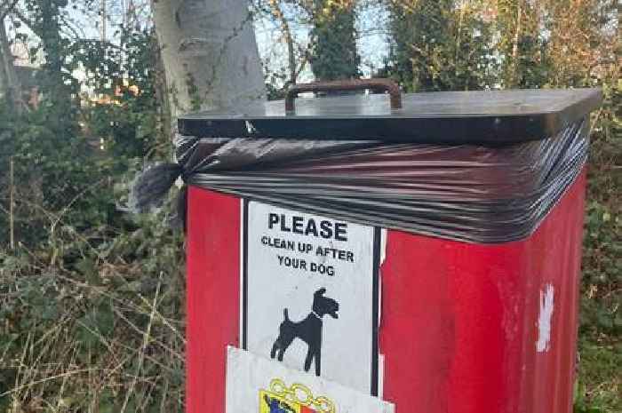 'Tell us who isn't picking up after their dog', says councillor