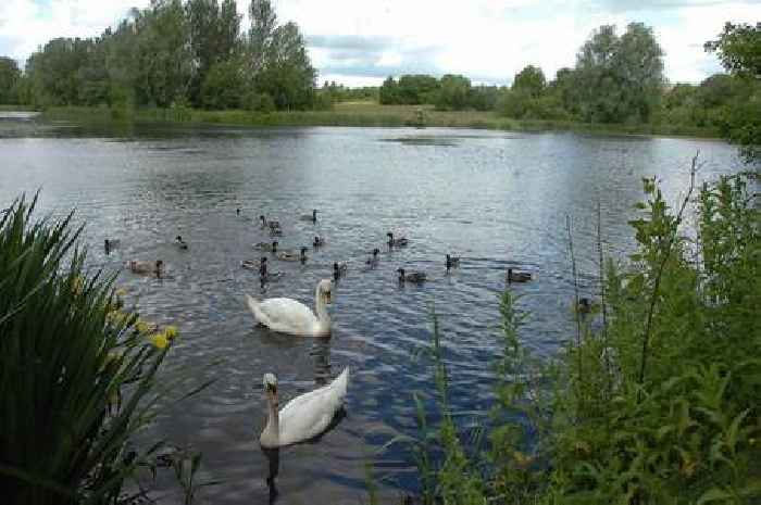 Heatwave sees angling banned in Stoke-on-Trent council pools and lakes