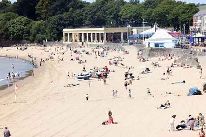 Calls for Welsh Government to open 'cool hubs' in public spaces during heatwave