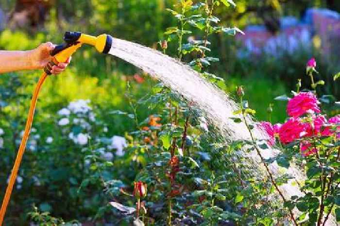 New hosepipe ban for millions as heatwave hits UK