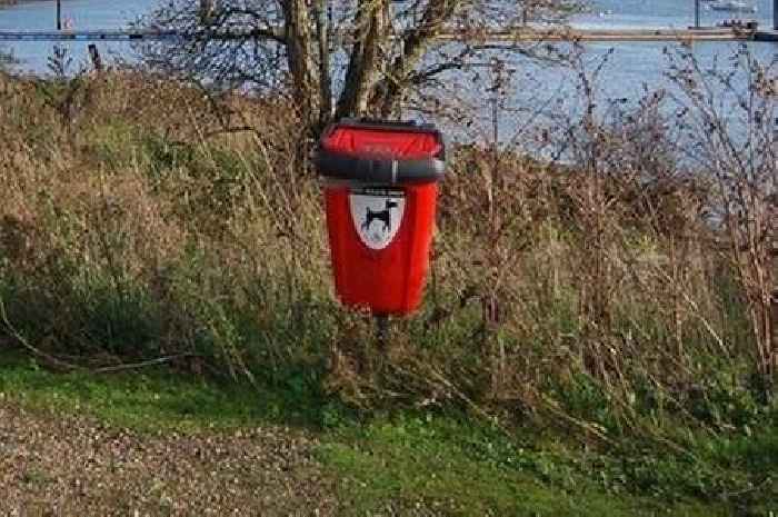 New £100 fines introduced for dog owners who fail to clean up mess