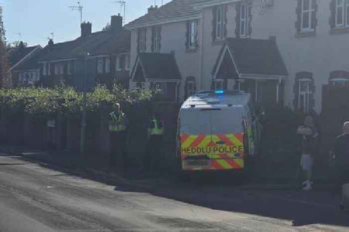 Police van crashes into garden wall