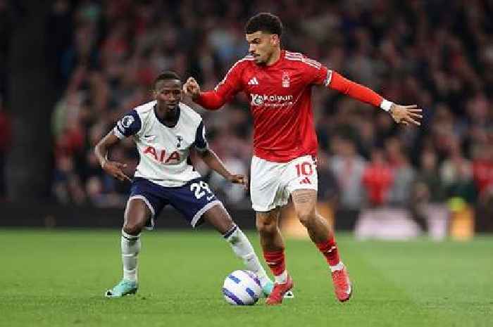 Morgan Gibbs-White £60m Tottenham transfer has huge added benefit for Thomas Frank
