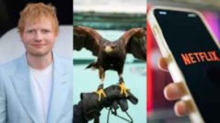 East of England news quiz of the week