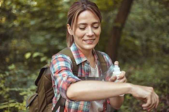 UKHSA warns travellers 'protect yourself' over insect-borne illnesses