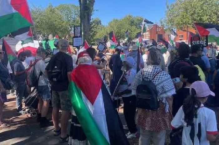 Hundreds attend Palestine march calling for ceasefire