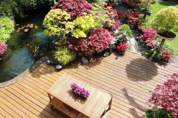 Devon homeowners with garden decking urged to do 1 task this summer or risk infestation