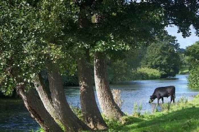The Essex river walk with an award winning pub with stunning waterside views