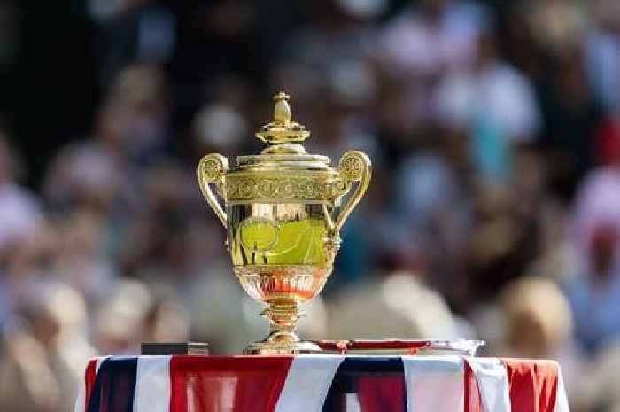 Reason why a pineapple tops Wimbledon tennis trophy