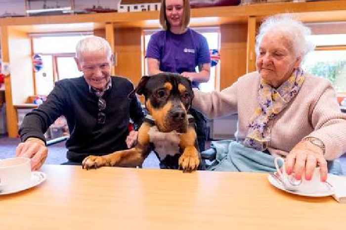 Renfrewshire veterans charity and Scottish SPCA launch partnership to tackle loneliness