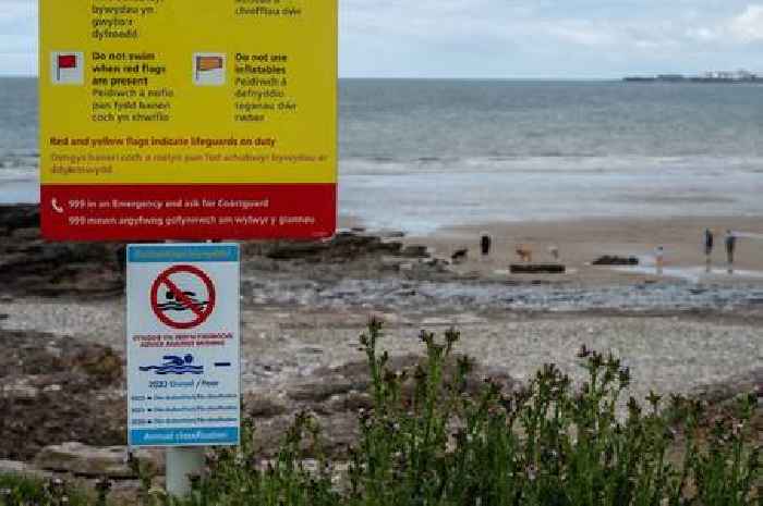 Emergency services descend on Welsh beach as witness hears screams for help