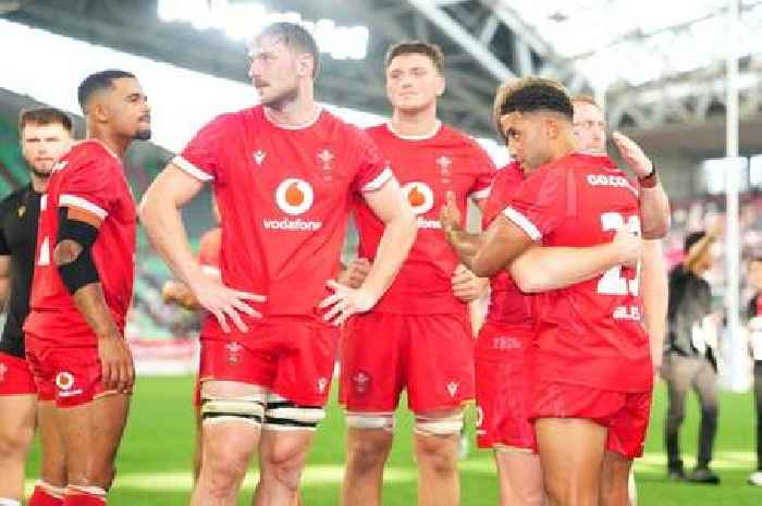 Matt Sherratt's message to new Wales coach as Gethin Jenkins needed to slap him amid drama