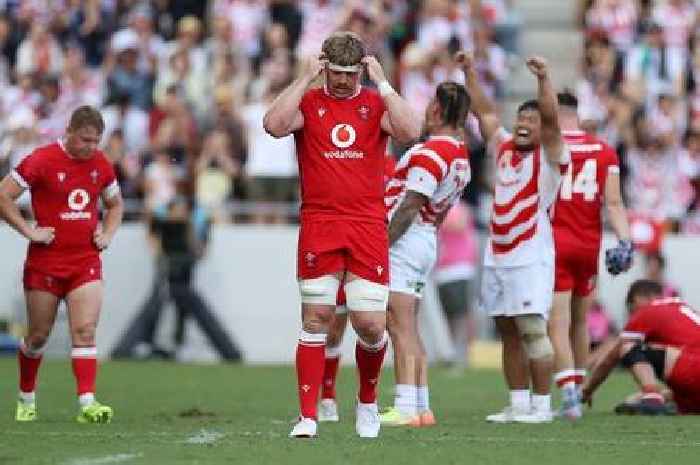 Nigel Owens: The jewel in the crown that Welsh rugby simply has to get right